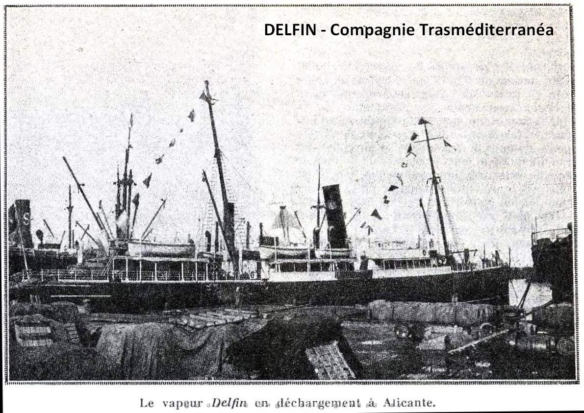 DELFIN- TRASMEDITERRANEA.jpg